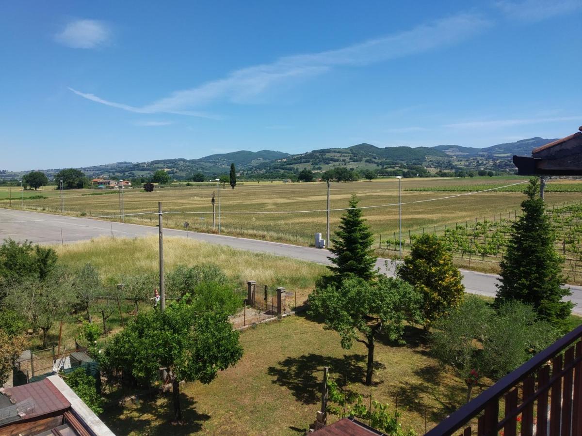 B&B Iris Assisi Dış mekan fotoğraf