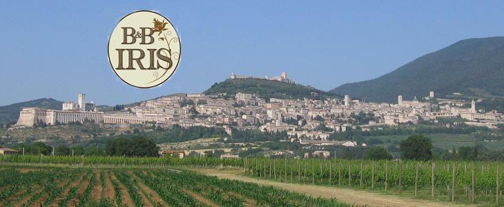 B&B Iris Assisi Dış mekan fotoğraf